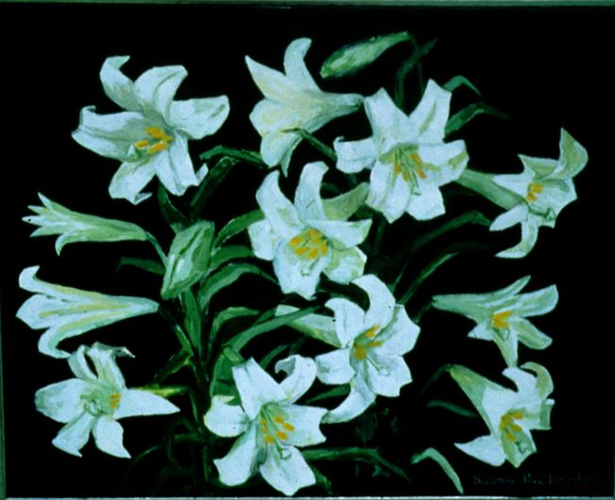 image of 'Lillies' painting by Susan Chambers