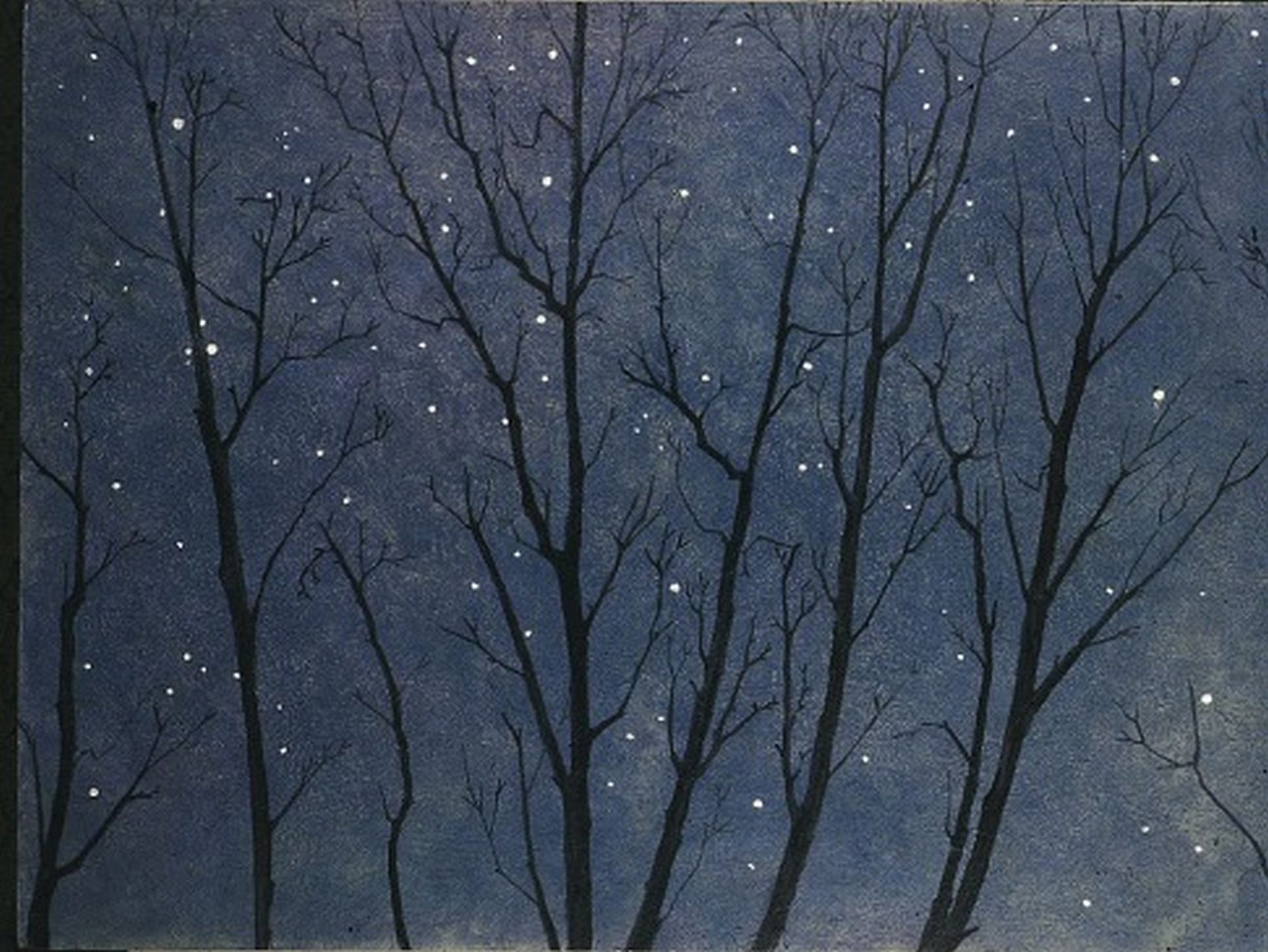 image of "Night Sky at Winter through Tree Branches" by Susan Chambers